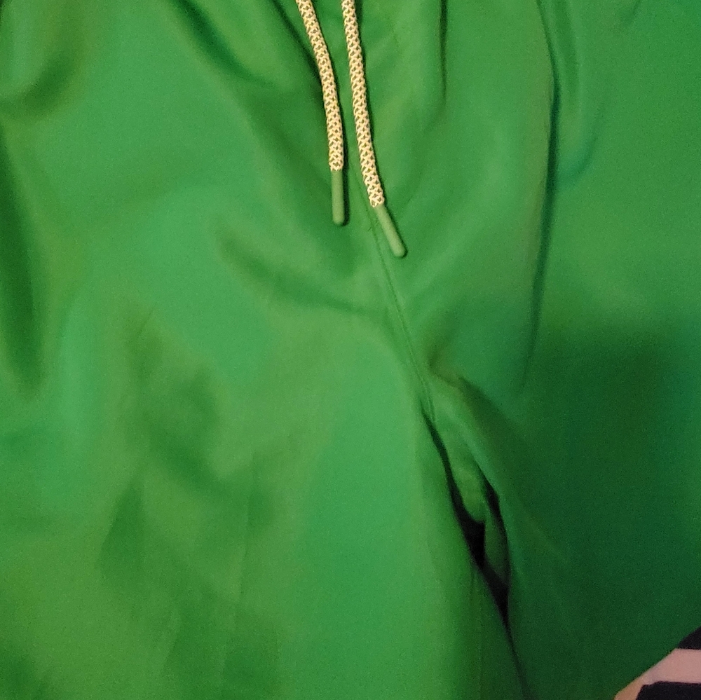 Vibrant Green MENS SHORTS